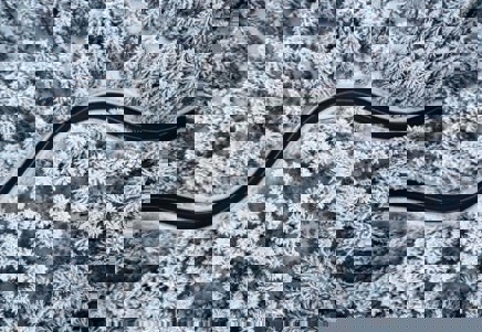 arial image of a forest with a road to represent Lenvi motor finance services